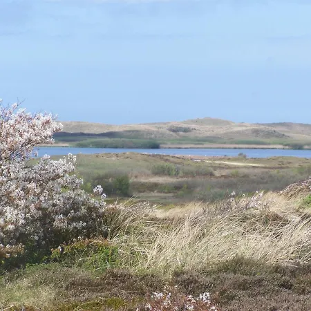 Holiday home Duurzame Cabin, Gelegen In De Aan Zee *
